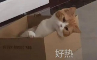 出门的文案沙雕，出门的文案沙雕搞笑
