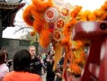 黄金游玩攻略，黄金旅游景点