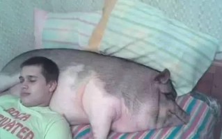猪师傅恶搞视频，猪师傅恶搞视频大全