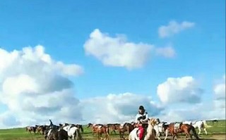 达格游玩攻略，达格游玩攻略大全