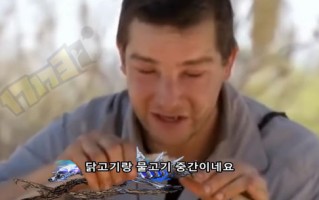 专业画画恶搞视频，画画恶搞图
